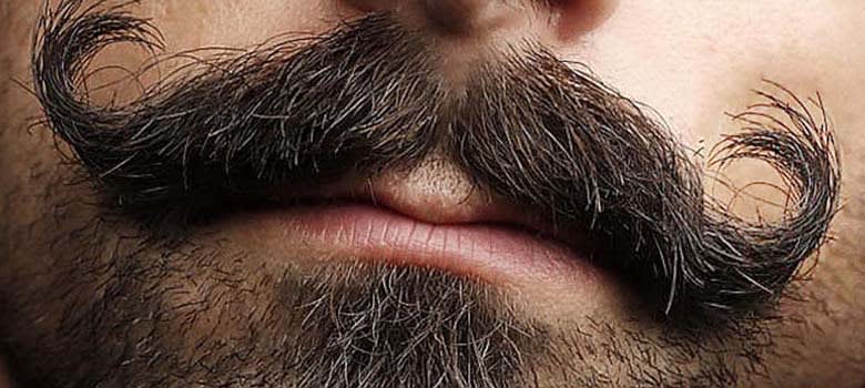 Handlebar Mustache Styles
